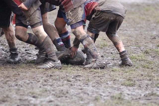 mini rugby