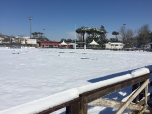 IMG-20180226-WA0050