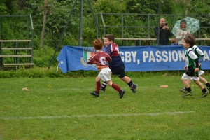 DSC_0146_preview