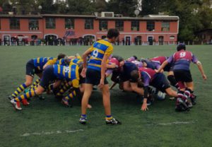 u16 vs primavera 2018