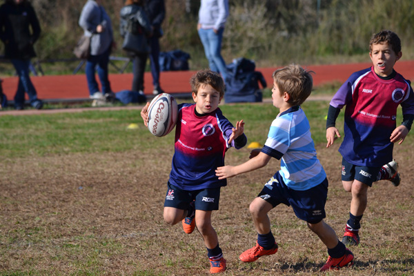 u8 tortreteste segni 2018