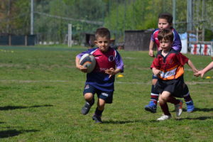 U6 @Gabrielli-min